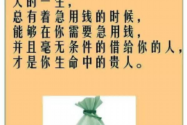 石龙如何避免债务纠纷？专业追讨公司教您应对之策